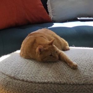 Meet your Posher, Danielle